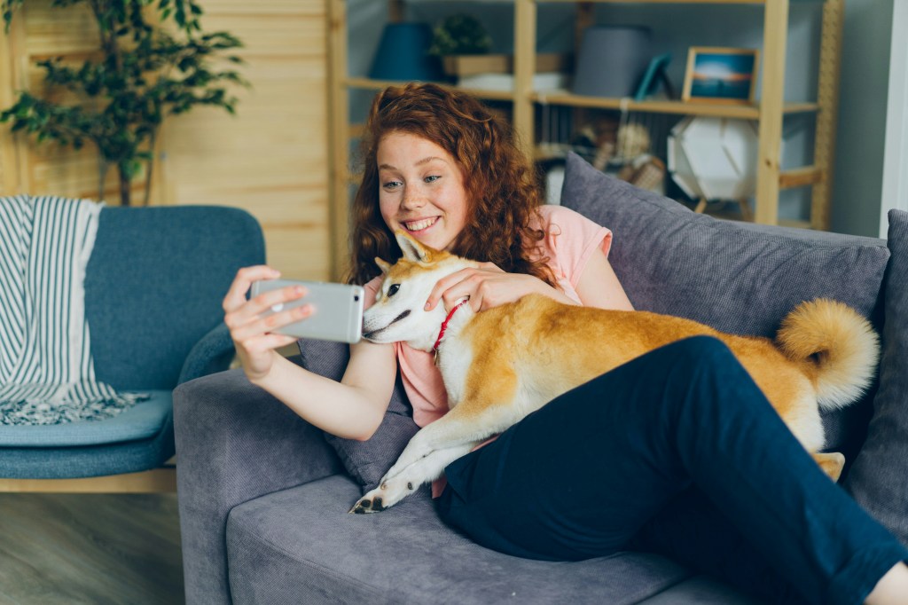 Brits combat social burnout with ‘paw-fect’ companions