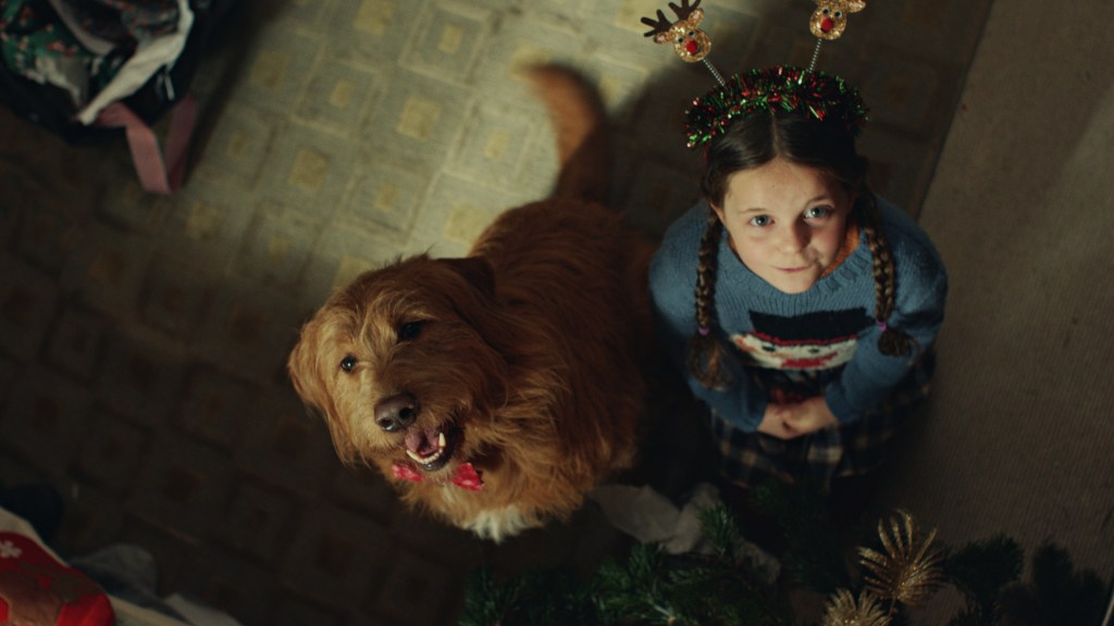 Dogs Trust Unveils Emotional Festive Campaign Honouring Dog Owners Across the&nbsp;UK