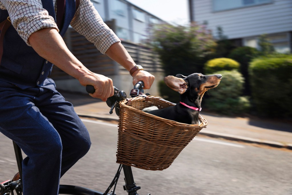 Vitality Launches ‘Your Health’s Best Friend’ Campaign With&nbsp;VCCP
